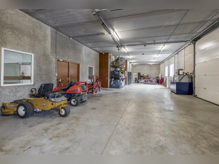 A complete equestrian facility with plenty of opportunities for the (semi)professional horse lover!