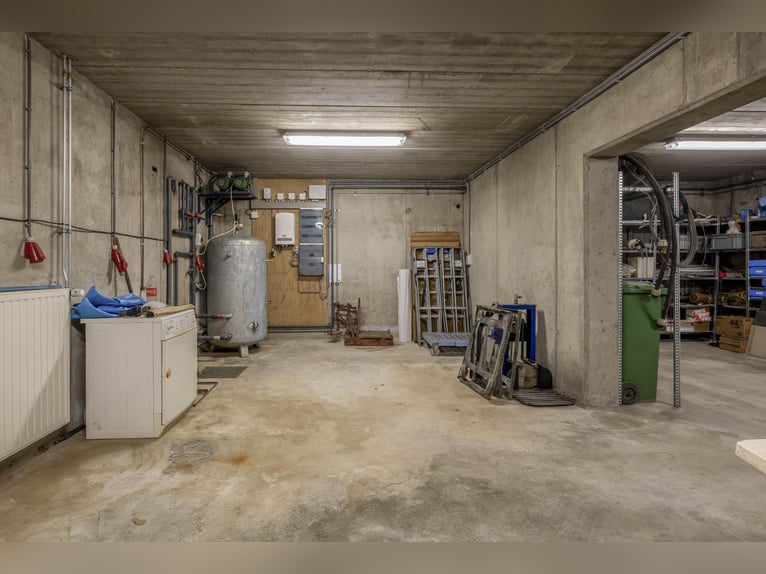 A complete equestrian facility with plenty of opportunities for the (semi)professional horse lover!