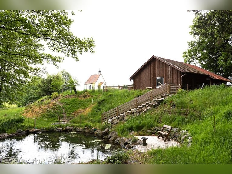 A lifelong dream for horse enthusiasts – Exclusive equestrian estate in complete seclusion on 27 acr