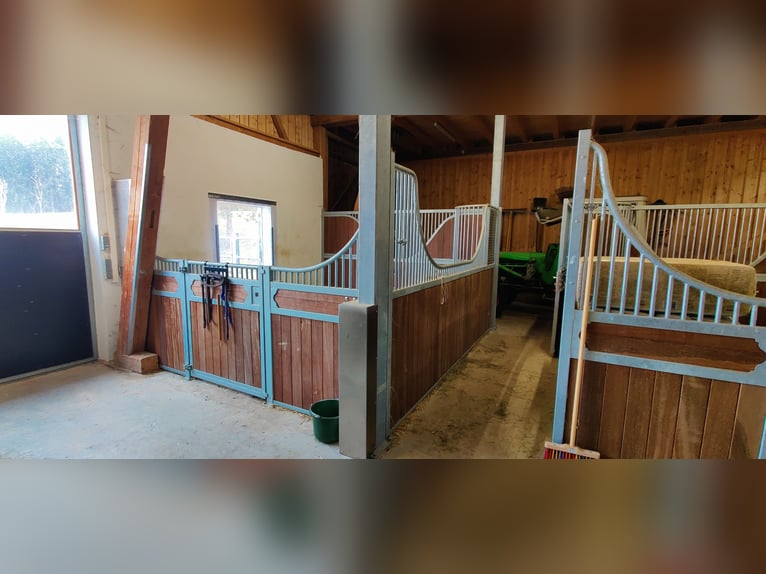 A lifelong dream for horse enthusiasts – Exclusive equestrian estate in complete seclusion on 27 acr