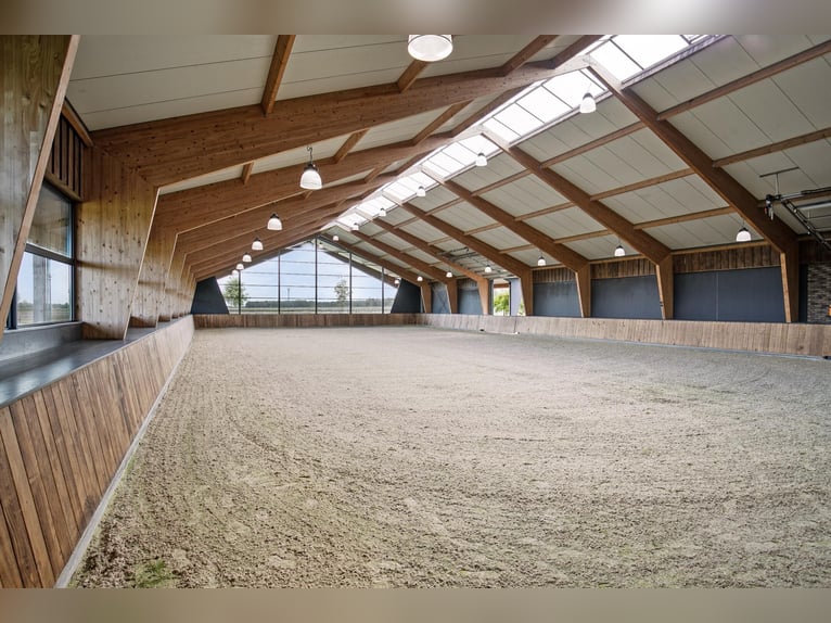 A Stunning Equestrian Estate with Endless Possibilities for the Professional Horse Enthusiast!