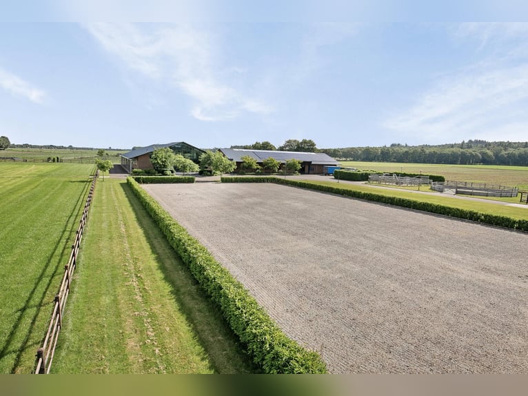 A Stunning Equestrian Estate with Endless Possibilities for the Professional Horse Enthusiast!