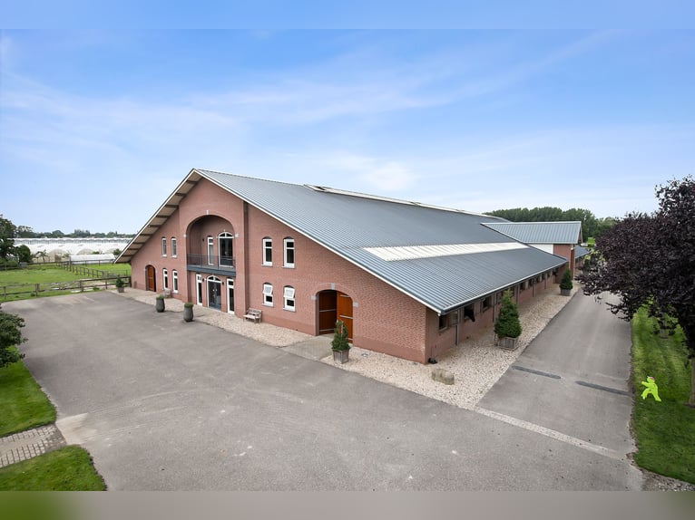 A stunning equestrian property offering numerous opportunities for the dedicated horse enthusiast!