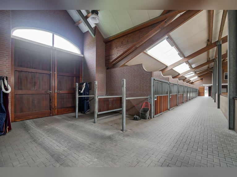 A stunning equestrian property offering numerous opportunities for the dedicated horse enthusiast!