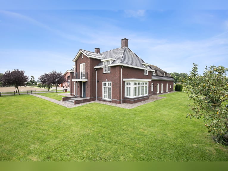 A stunning equestrian property offering numerous opportunities for the dedicated horse enthusiast!