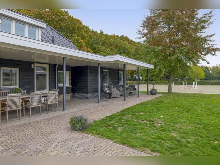 A stunning location for the happiness of horses!