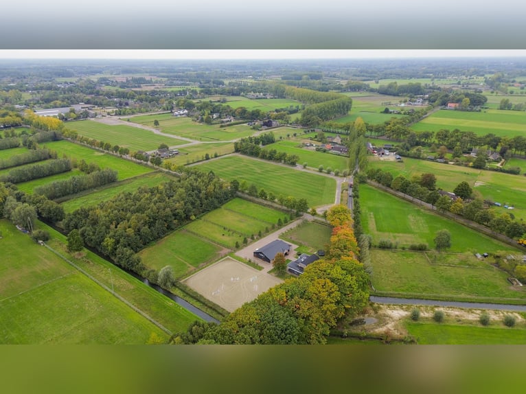 A stunning location for the happiness of horses!