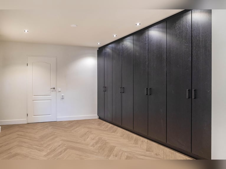 A stunning location for the happiness of horses!