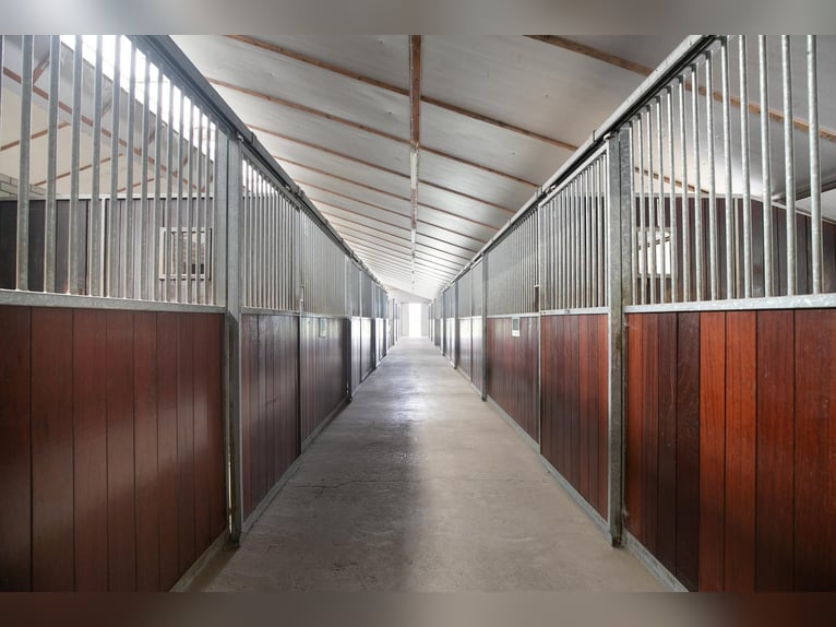 An exceptional equestrian estate with outstanding facilities!