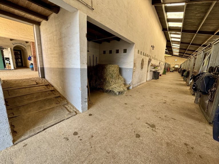 Attractive riding facility located between Montabaur and Limburg