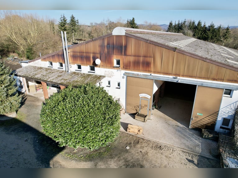 Attractive riding facility located between Montabaur and Limburg