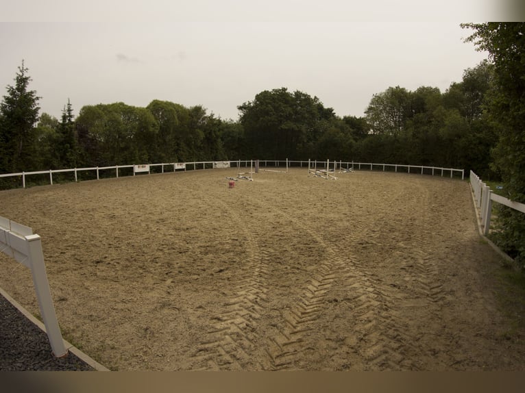 Attractive riding facility located between Montabaur and Limburg
