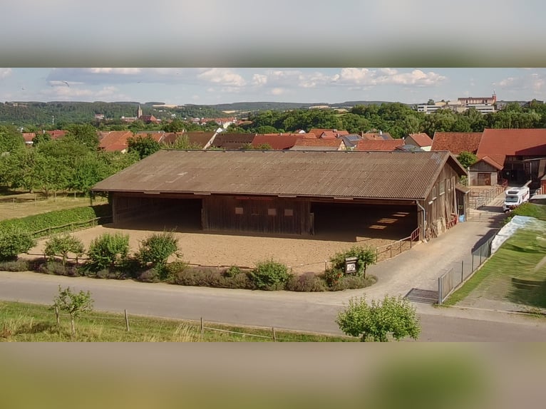Attractive riding farm with versatile potential for use in Bad Neustadt an der Saale