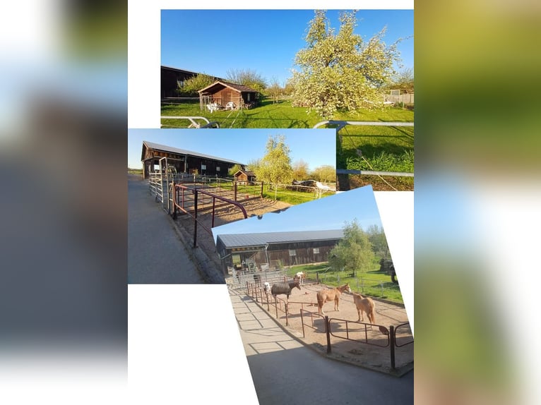Attractive riding farm with versatile potential for use in Bad Neustadt an der Saale