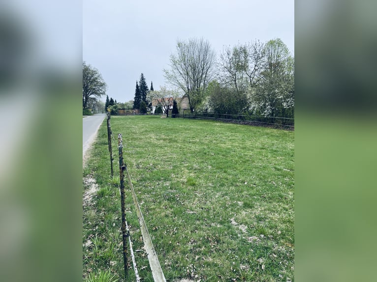 Attraktiver Resthof mit großer Scheune, Stallgebäude und Wiese im schönen Wendland