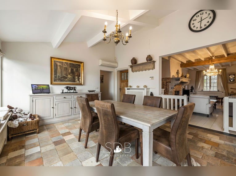 Authentic farmstead with various outbuildings and grasslands on 93,155 m² – 23,00 Turnhout