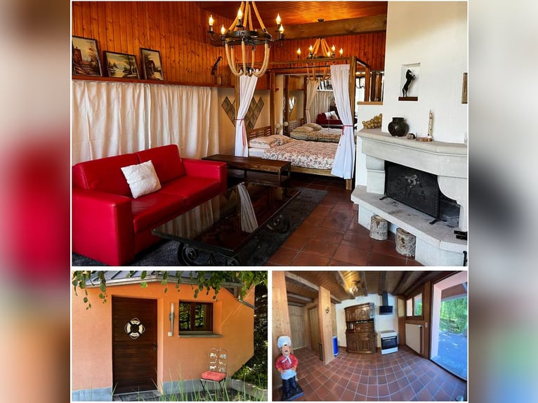 Avenches: Equestrian living at its best: box packages with apartment / studio