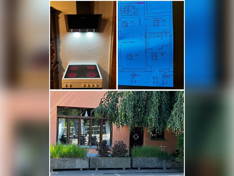Avenches: Equestrian living at its best: box packages with apartment / studio