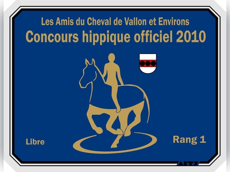 Avenches: Equestrian living at its best: box packages with apartment / studio