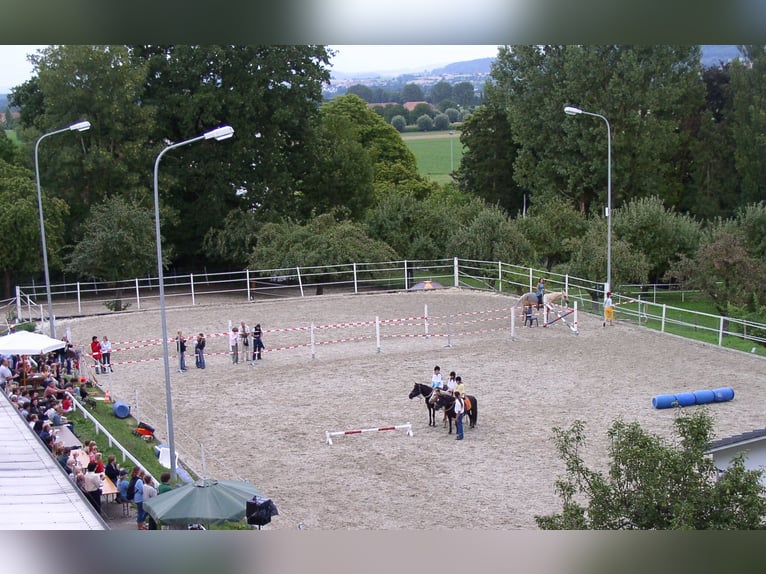 Avenches: Equestrian living at its best: box packages with apartment / studio
