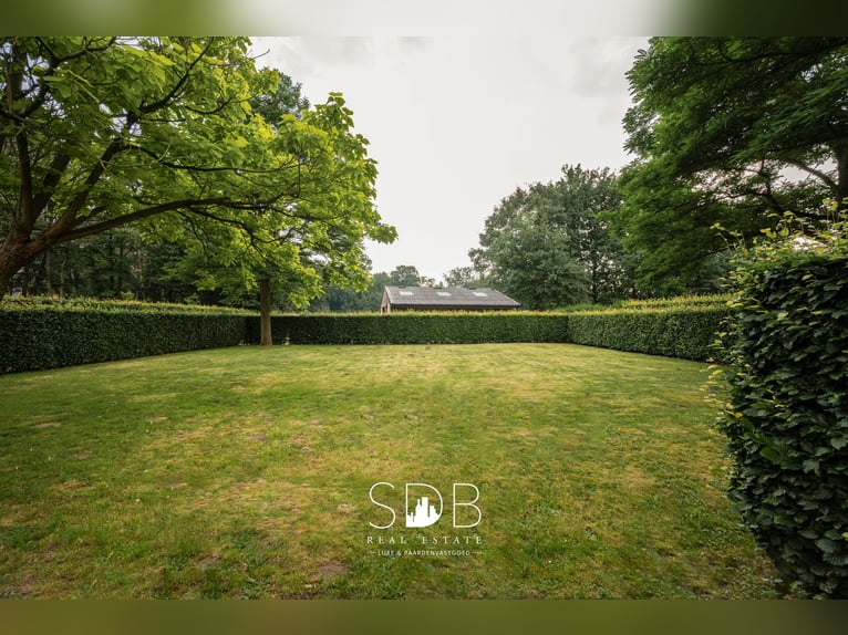 Beautiful country estate with equestrian facilities on 15,804 m² in Haasdonk