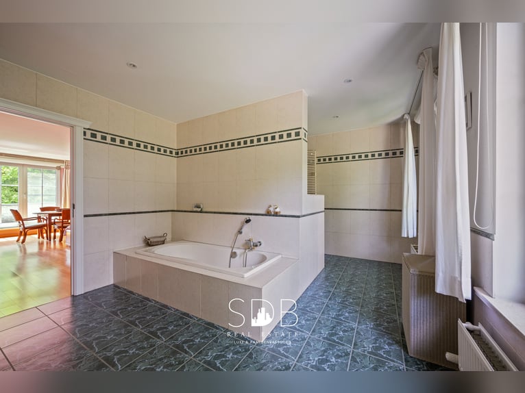 Beautiful country estate with equestrian facilities on 15,804 m² in Haasdonk