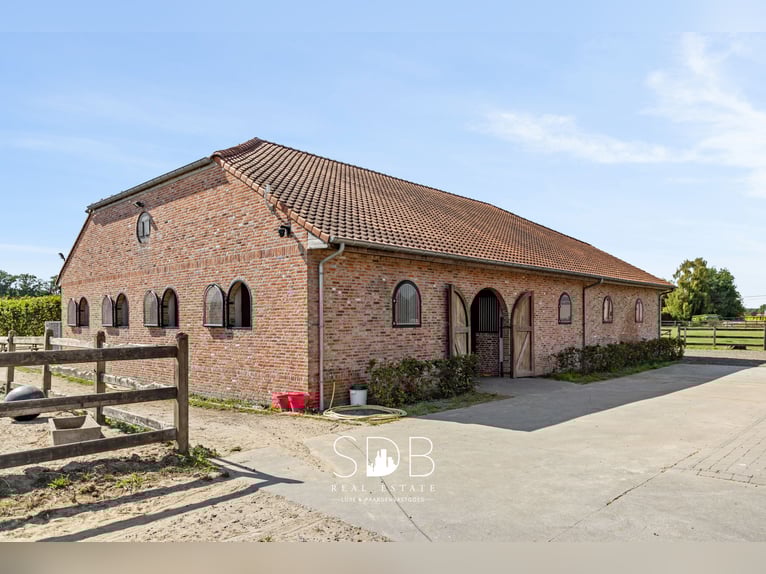 Beautiful country house with equestrian facilities on 2.59 hectares in Antwerp | Belgium