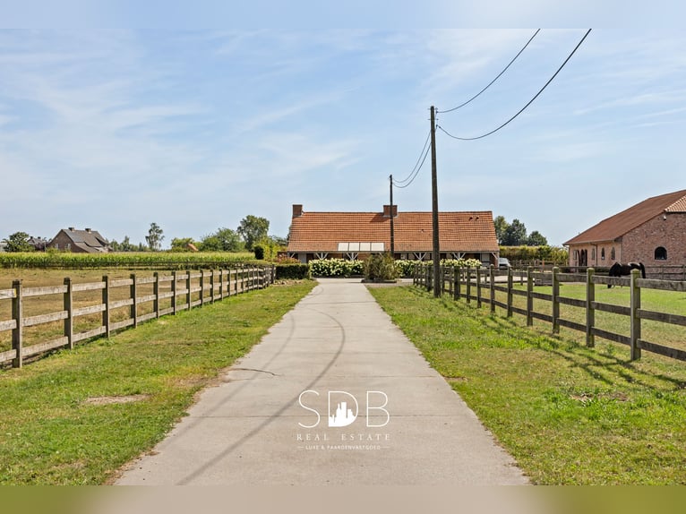 Beautiful country house with equestrian facilities on 2.59 hectares in Antwerp | Belgium