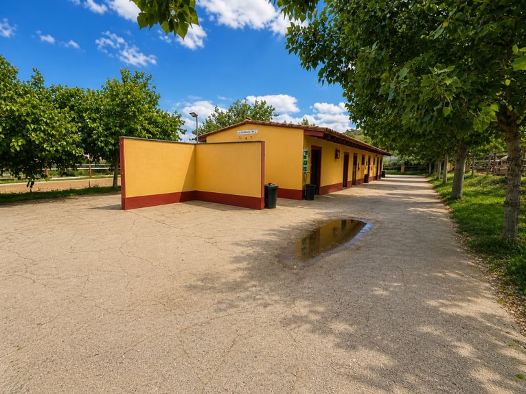 Beautiful equestrian center in Valencia (Costa Blanca)