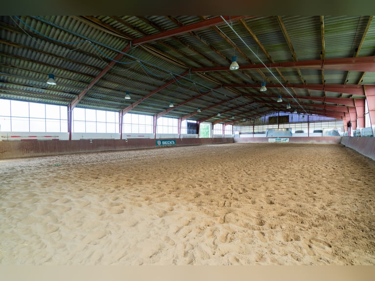 Beautiful equestrian estate with approximately 18.5 acres, indoor riding arena, lunging ring, outdoo