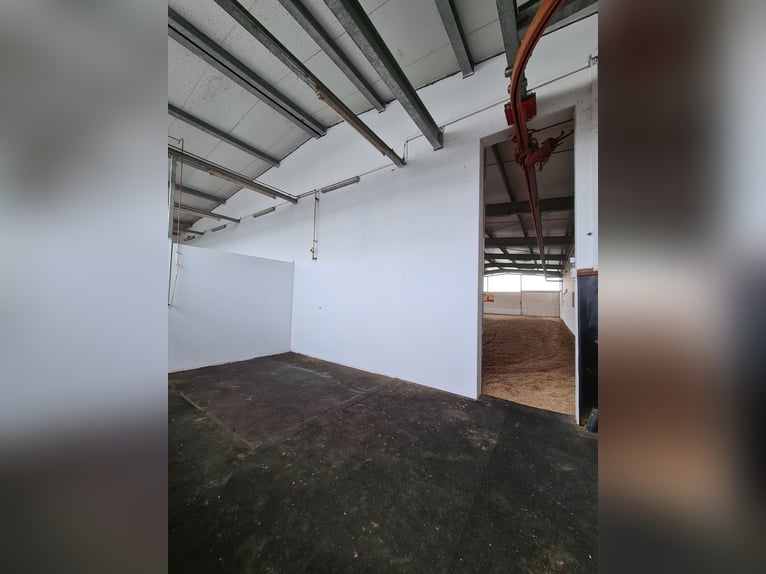 Beautiful estate for sale, suitable as an equestrian facility or development property, located in a 