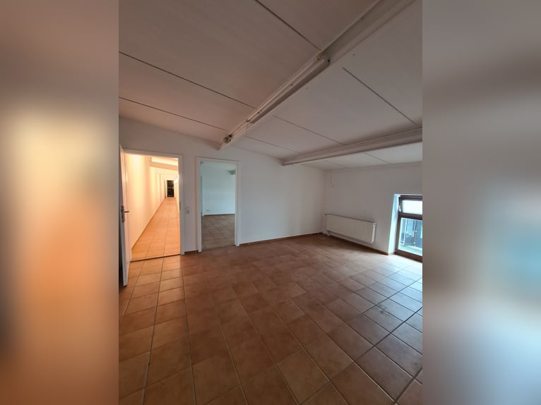 Beautiful estate for sale, suitable as an equestrian facility or development property, located in a 