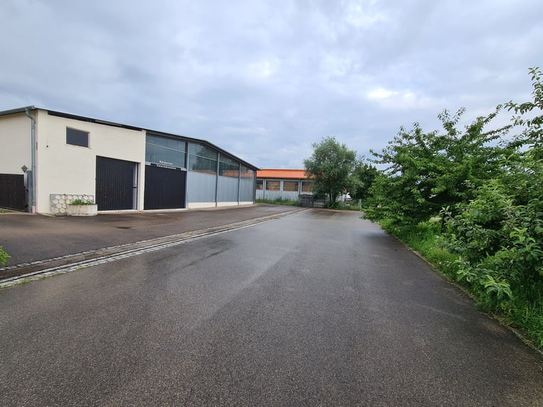 Beautiful estate for sale, suitable as an equestrian facility or development property, located in a 