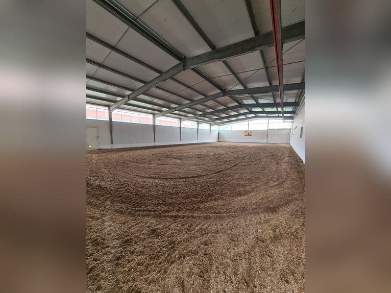 Beautiful estate for sale, suitable as an equestrian facility or development property, located in a 