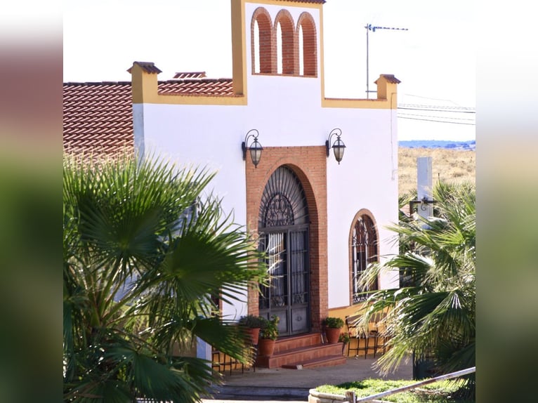 Beautiful Estate Fully Equipped for Horses