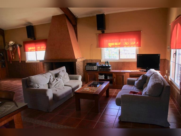 Beautiful Estate Fully Equipped for Horses