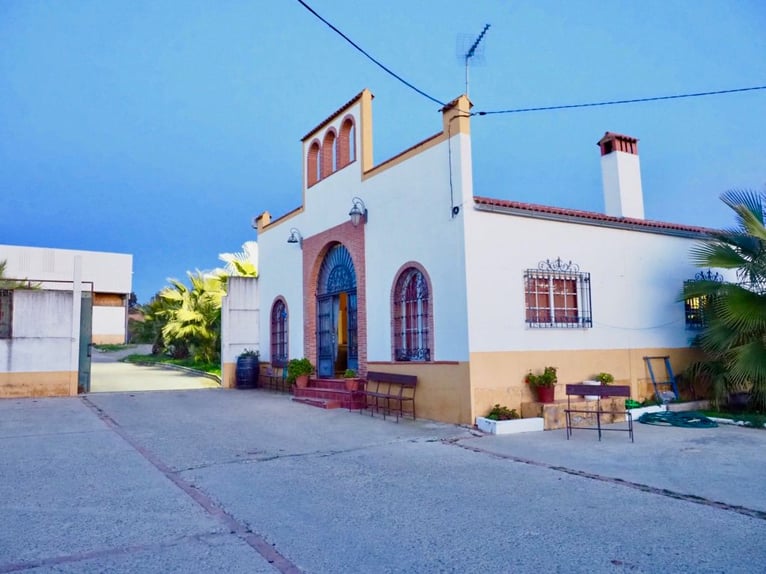 Beautiful Estate Fully Equipped for Horses