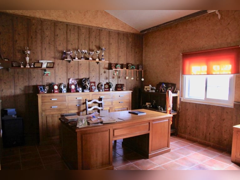 Beautiful Estate Fully Equipped for Horses