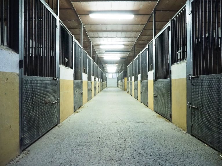 Beautiful Estate Fully Equipped for Horses