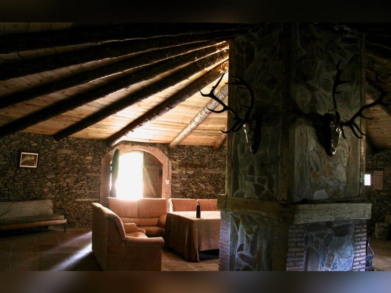 Beautiful estate with a cortijo in Salamanca – 200 hectares