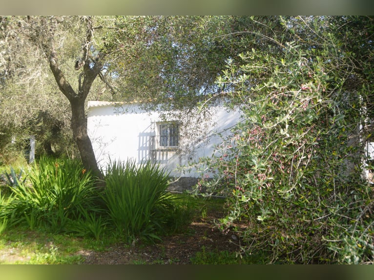 Beautiful finca nestled amidst stunning natural surroundings