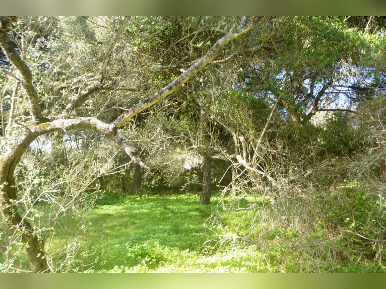 Beautiful finca nestled amidst stunning natural surroundings