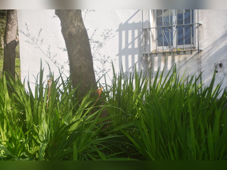 Beautiful finca nestled amidst stunning natural surroundings