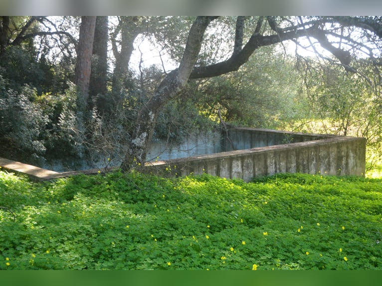 Beautiful finca nestled amidst stunning natural surroundings