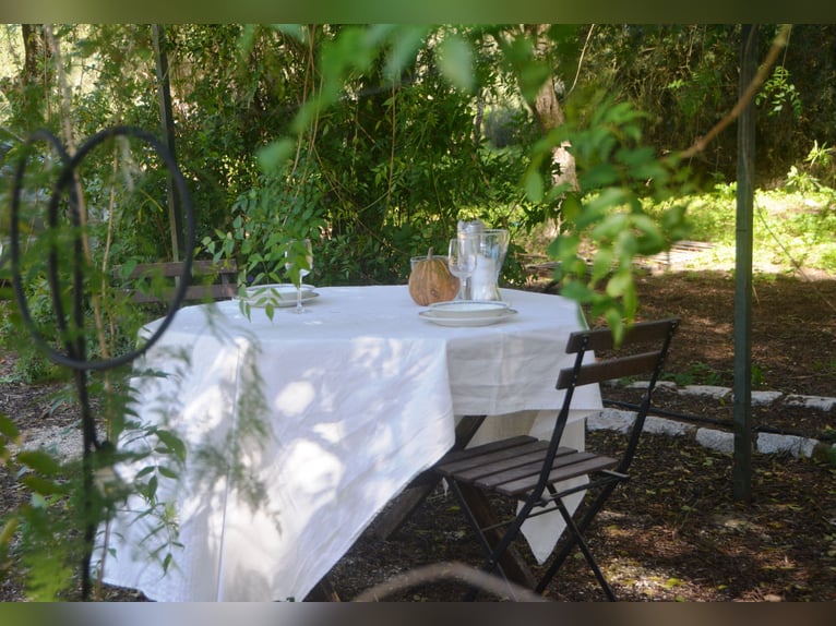 Beautiful finca nestled amidst stunning natural surroundings