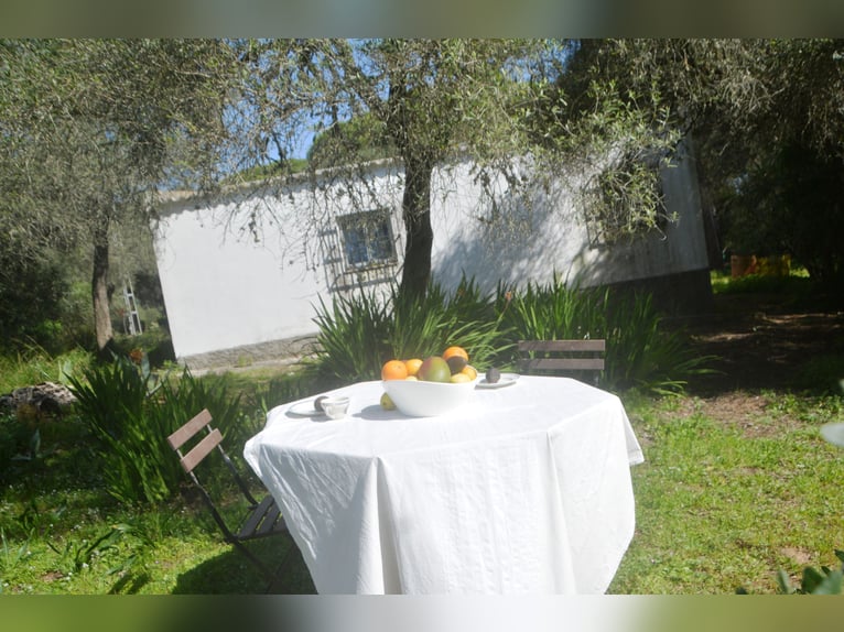 Beautiful finca nestled amidst stunning natural surroundings