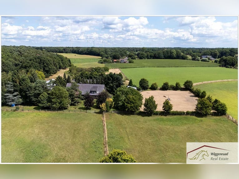 Beautiful private riding estate in a secluded location in North Rhine-Westphalia, Germany