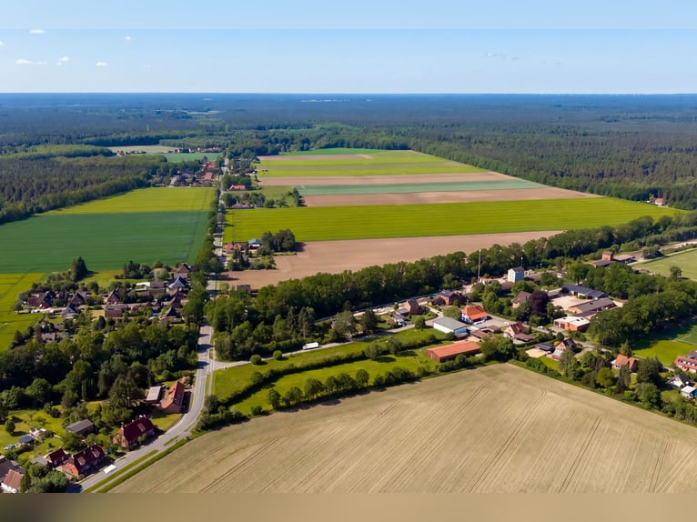 Beautiful small riding facility in the Lüneburg Heath