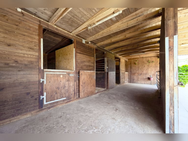 Beautiful small riding facility in the Lüneburg Heath
