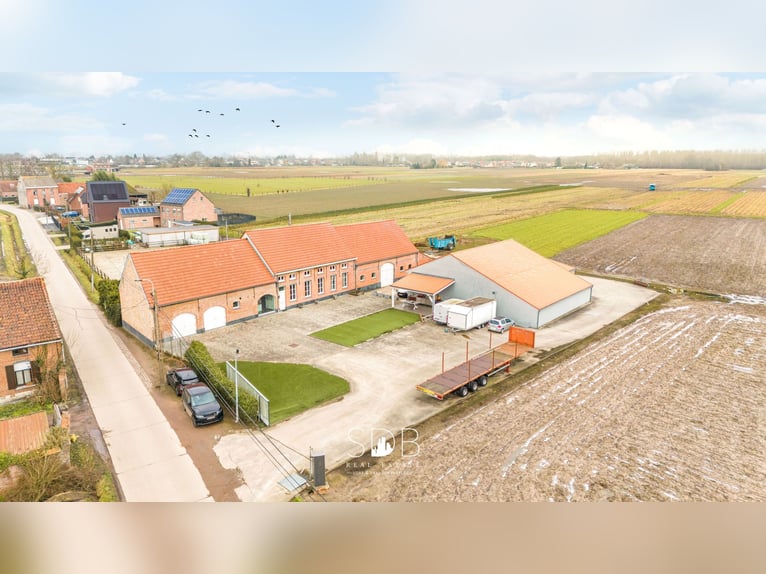 Beautiful villa in a traditional style with outbuildings and pastures on 89,070 m² – 2811 Leest